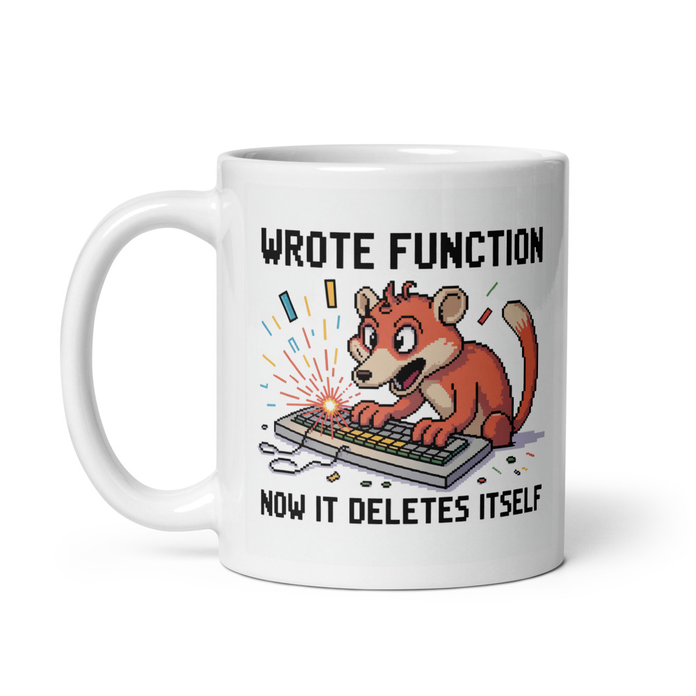Wrote Function Deletes Itself Mug