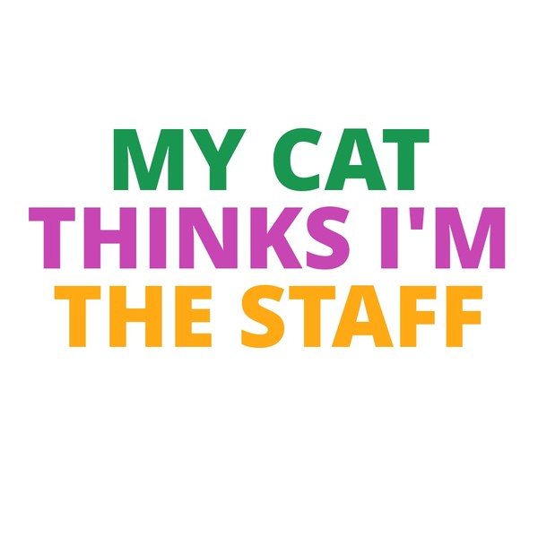 MY CAT THINKS I’M THE STAFF Mug