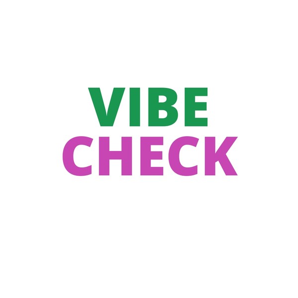 Vibe Check Mug