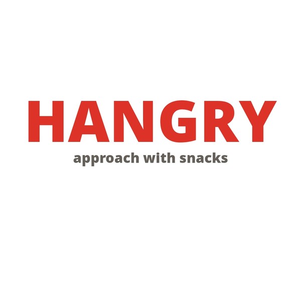 Hangry Approach With Snacks Mug