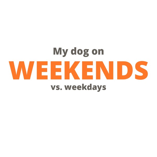 My Dog On Weekends Mug