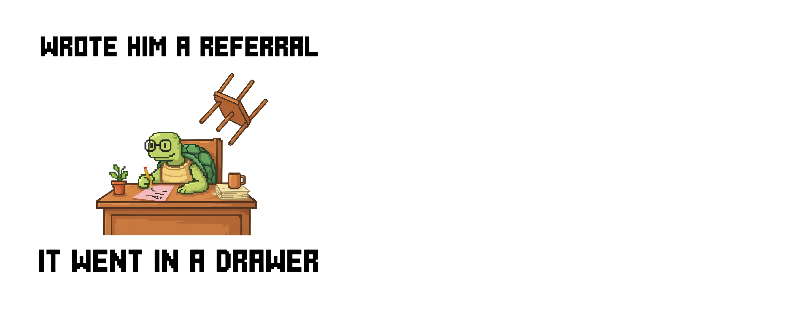 Referral Drawer Turtle Mug