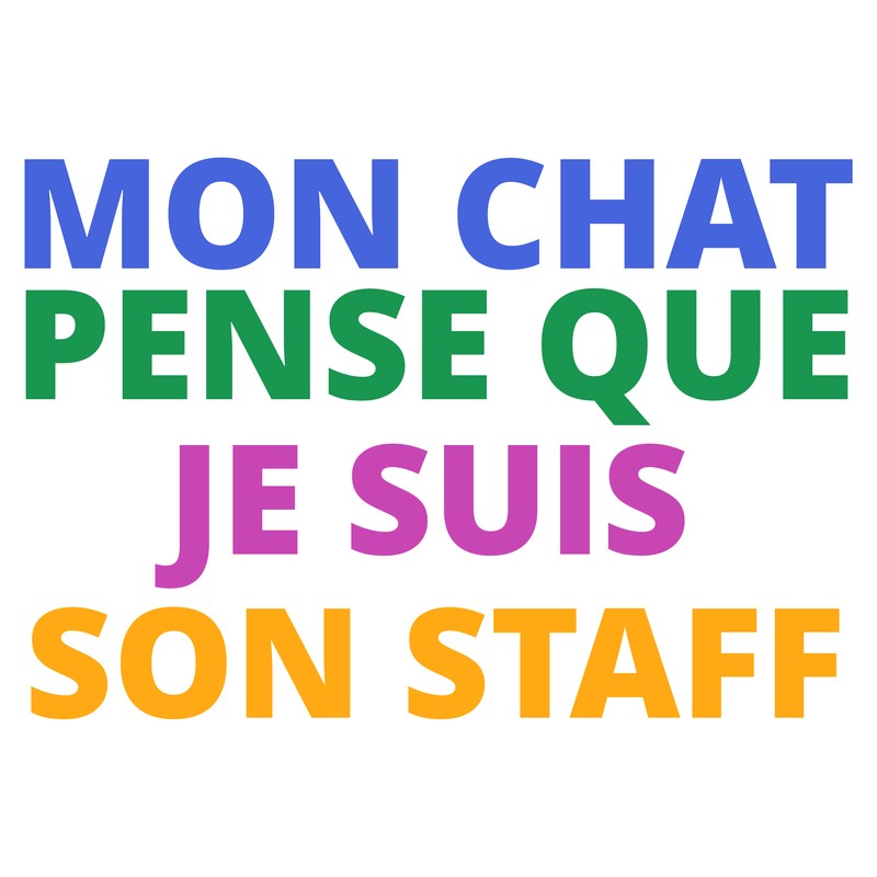 MON CHAT PENSE QUE JE SUIS SON STAFF Tee