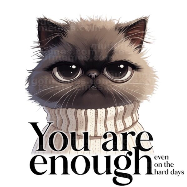 You are enough… even on the hard days Mug
